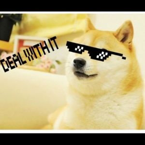 Meet your Posher, Julian